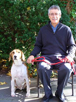 The Trained Canine in New Jersey | Dog Training